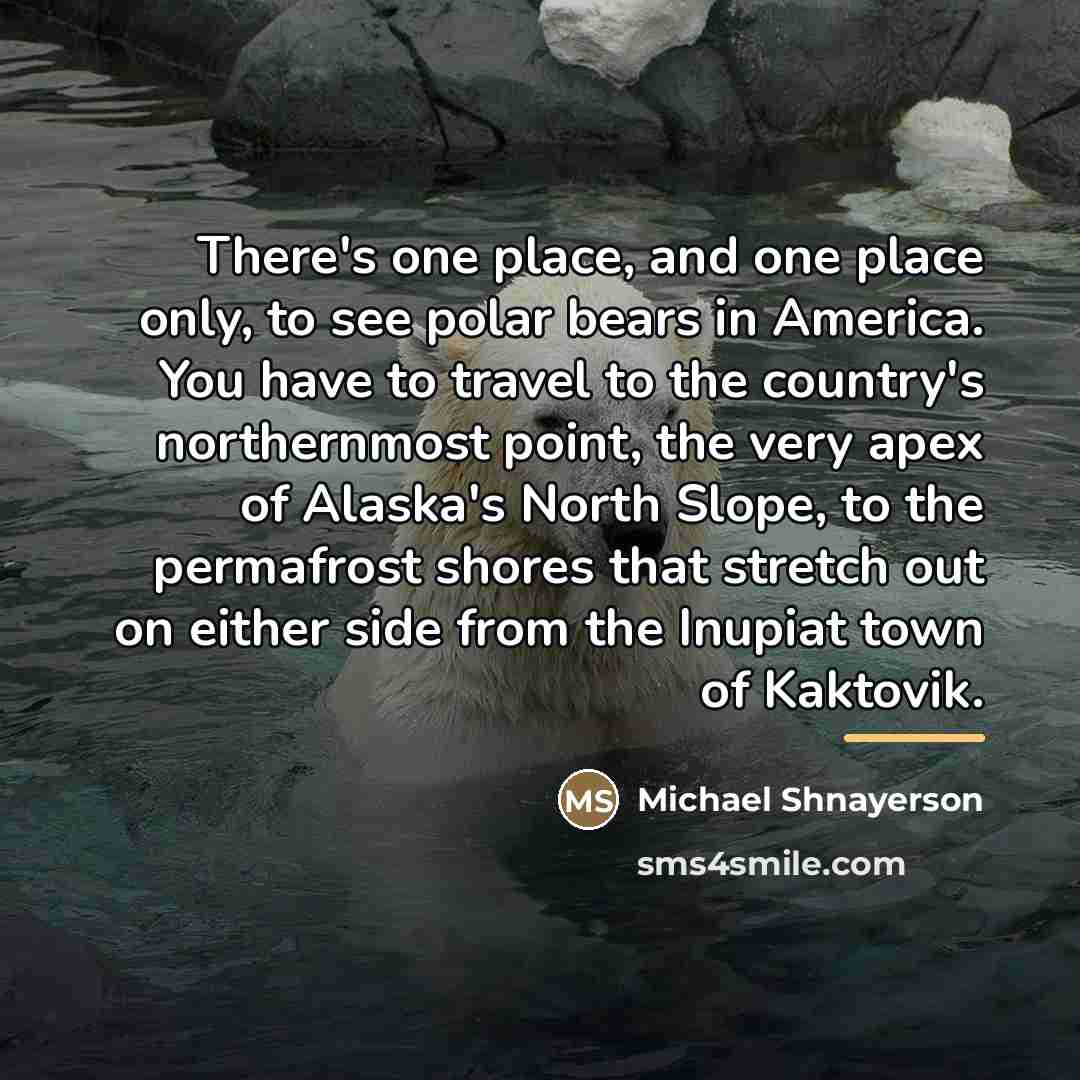 “There's one place, and one place only, to see polar…” quote by Michael Shnayerson
