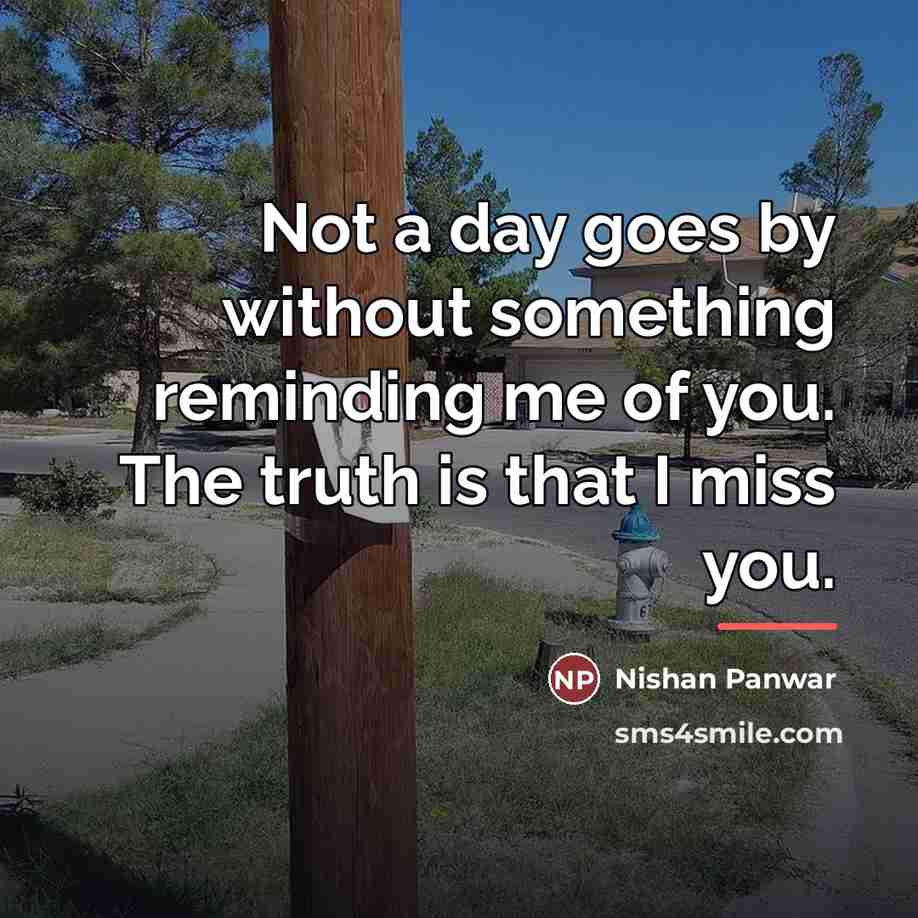 “Not a day goes by without something reminding me of…” quote by Nishan Panwar