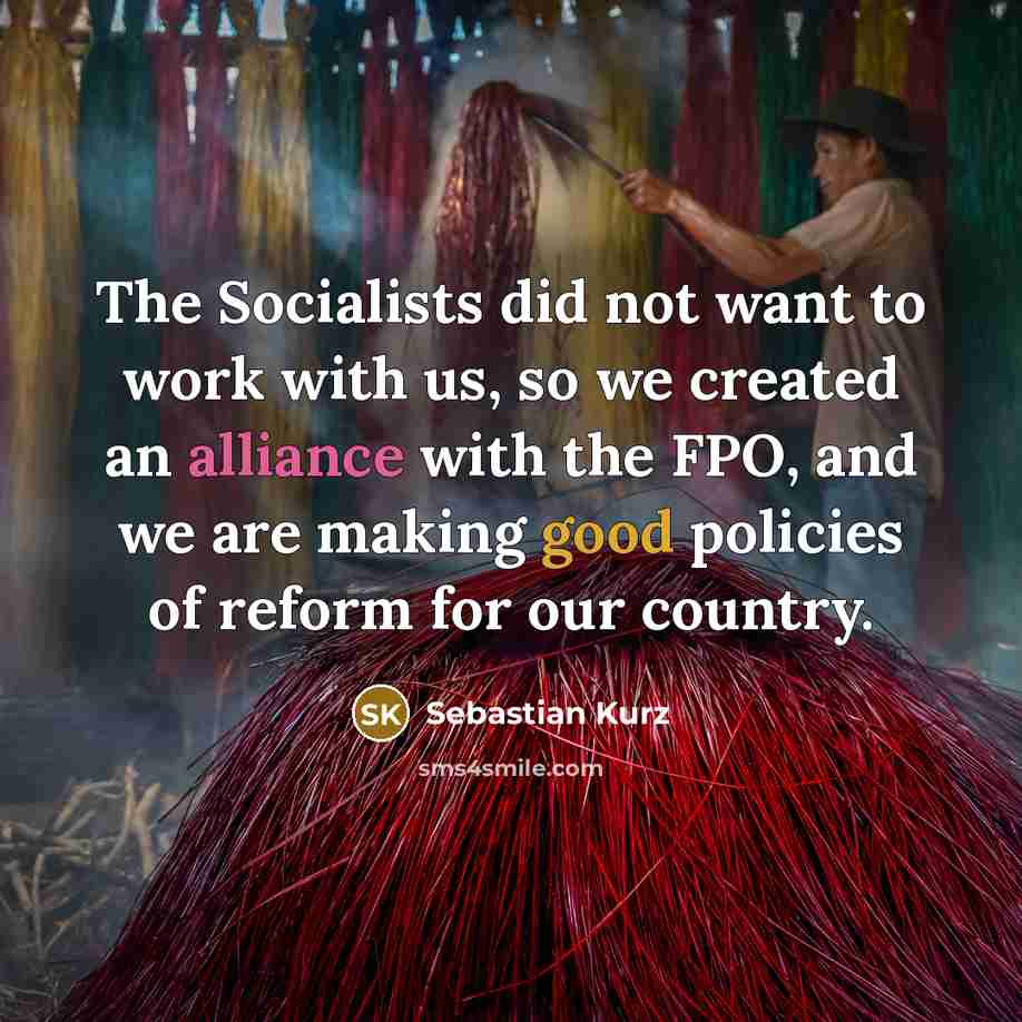 “The Socialists did not want to work with us, so…” quote by Sebastian Kurz