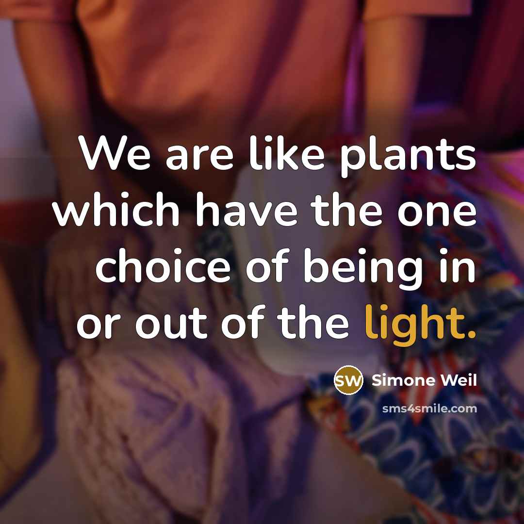 “We are like plants which have the one choice of being in or out of the light.” quote by Simone Weil