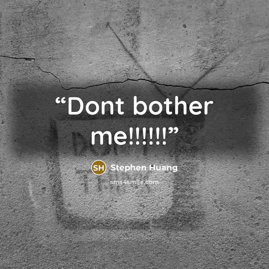 “Dont bother me!!!!!!” quote by Stephen Huang