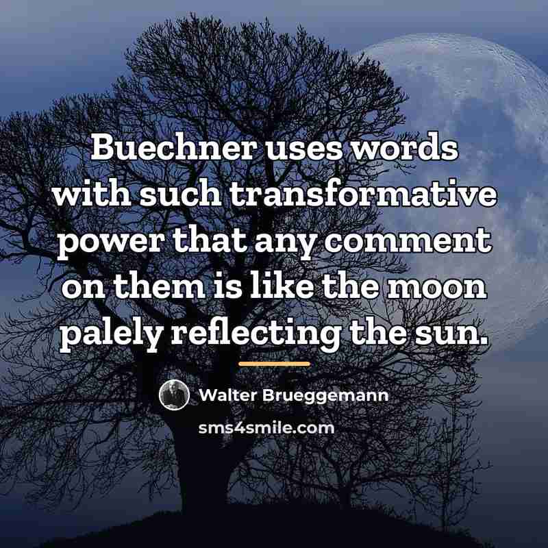 “Buechner uses words with such transformative power that any comment…” quote by Walter Brueggemann