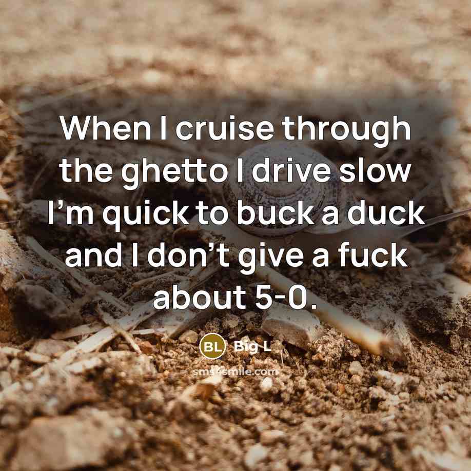 “When I cruise through the ghetto I drive slow I'm…” quote by Big L