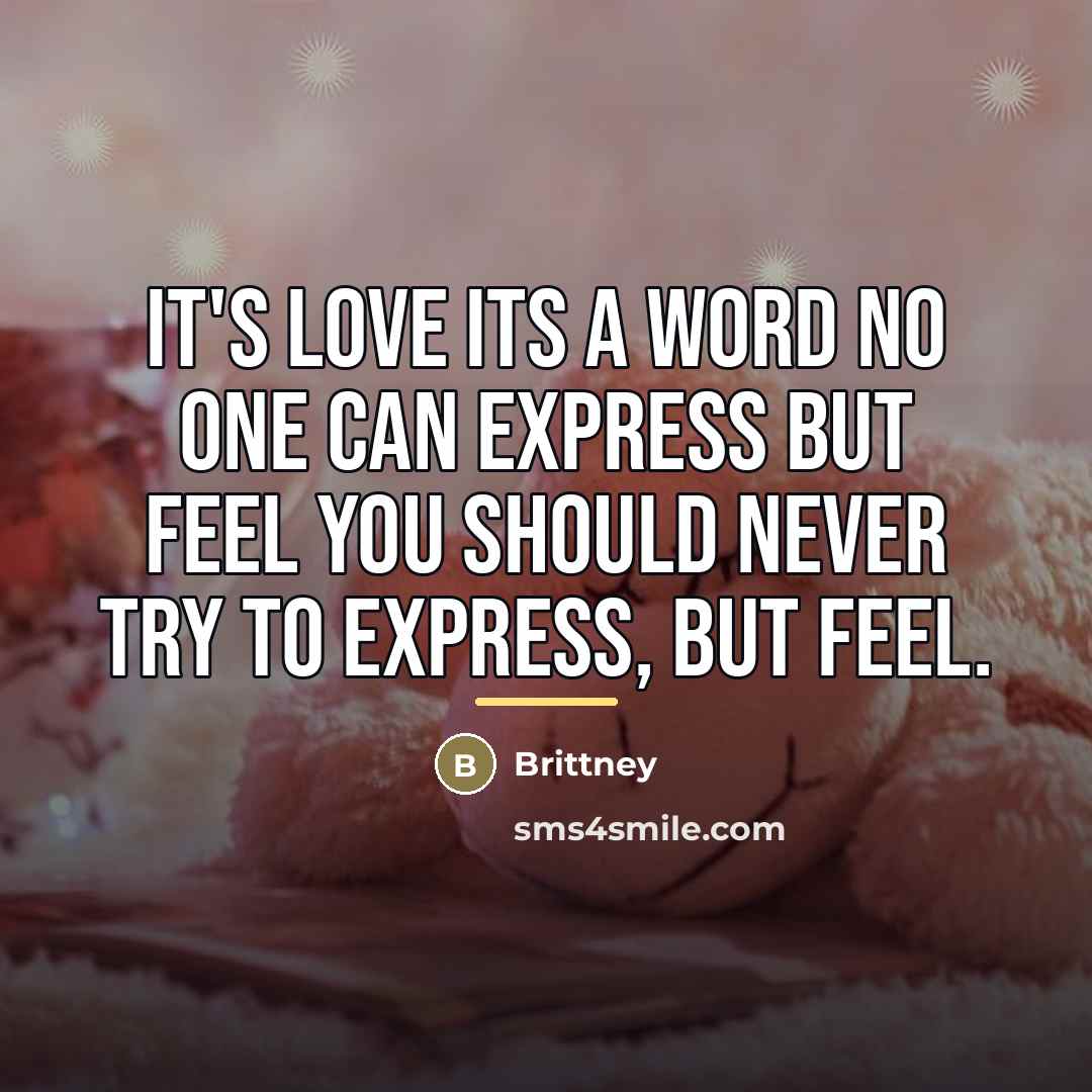 “It's love its a word no one can express but…” quote by Brittney