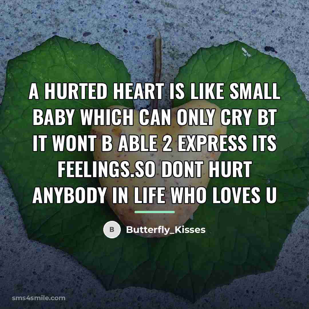 “A HURTED HEART IS LIKE SMALL BABY WHICH CAN ONLY…” quote by Butterfly_Kisses