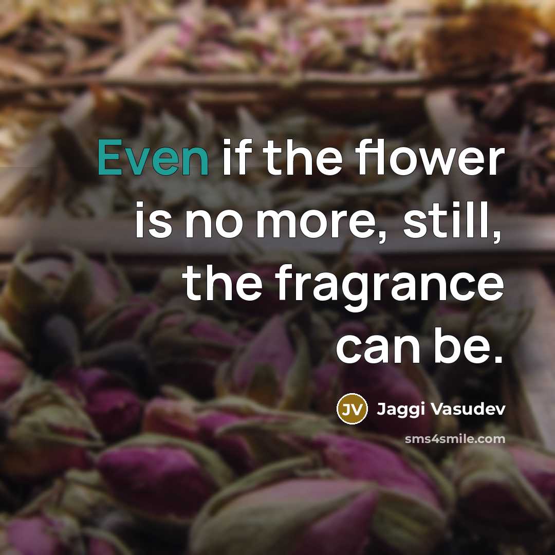 “Even if the flower is no more, still, the fragrance…” quote by Jaggi Vasudev