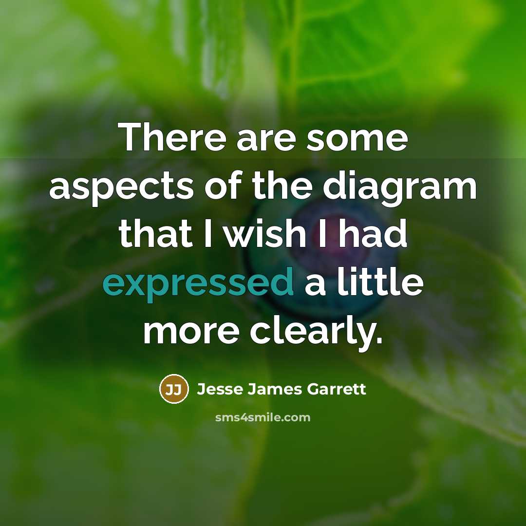 “There are some aspects of the diagram that I wish…” quote by Jesse James Garrett