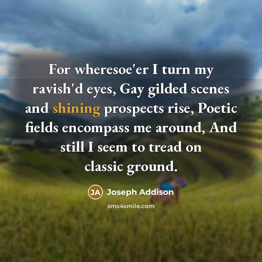 “For wheresoe'er I turn my ravish'd eyes, Gay gilded scenes…” quote by Joseph Addison