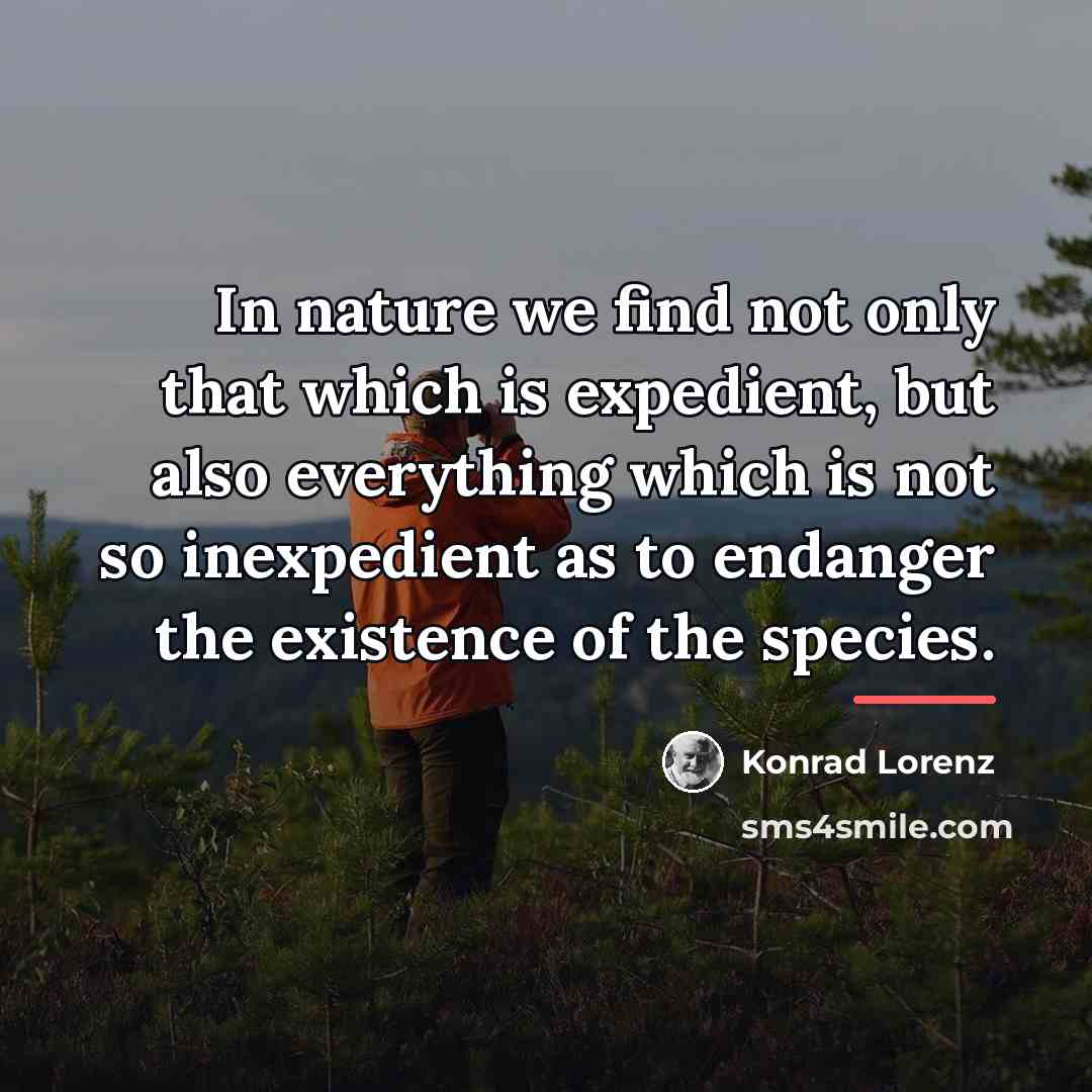 “In nature we find not only that which is expedient,…” quote by Konrad Lorenz