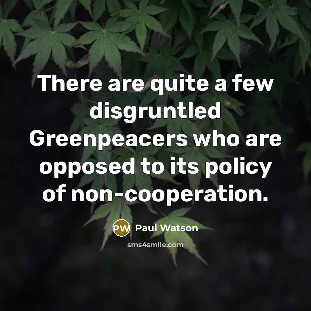“There are quite a few disgruntled Greenpeacers who are opposed…” quote by Paul Watson