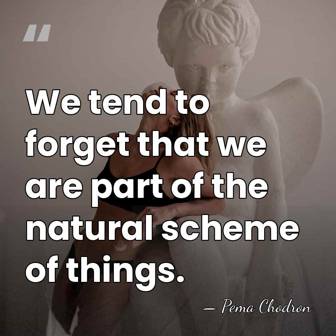 We tend to forget that we are part of the natural scheme&hellip; - Pema Chodron