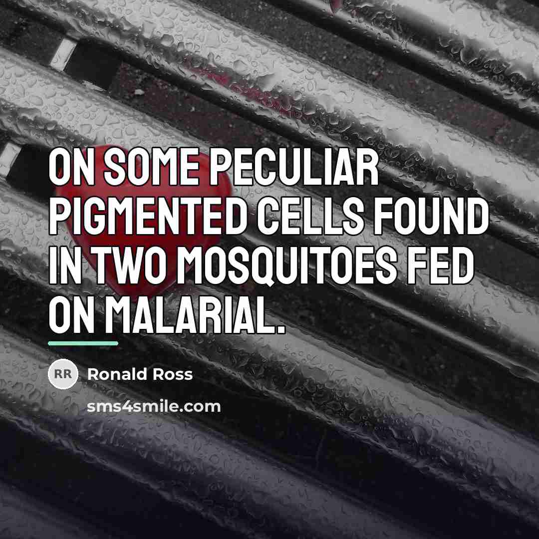 “On some peculiar pigmented cells found in two mosquitoes fed…” quote by Ronald Ross