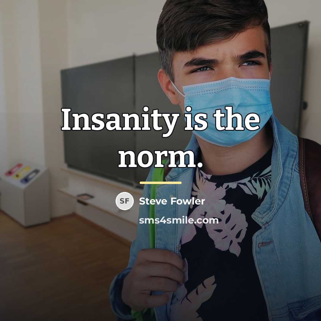 “Insanity is the norm.…” quote by Steve Fowler