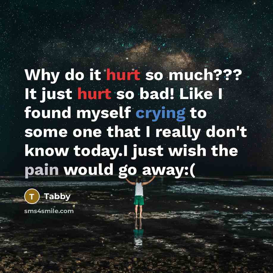 “Why do it hurt so much??? It just hurt so bad! Like I found myself crying to some one that I really don't know today.I just wish the pain would go away:(” quote by Tabby
