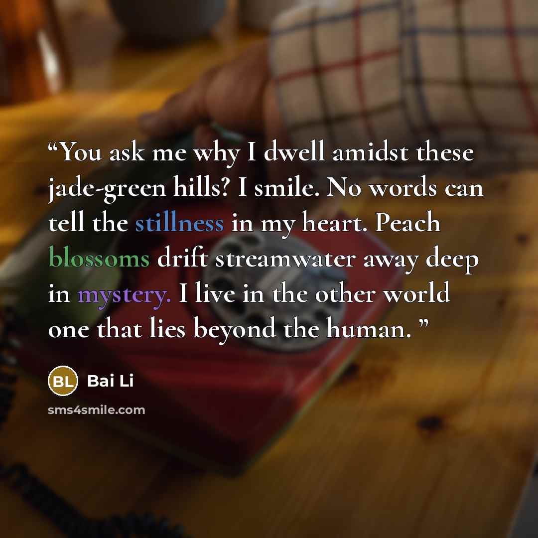 “You ask me why I dwell amidst these jade-green hills? I smile. No words can tell the stillness in my heart. Peach blossoms drift streamwater away deep in mystery. I live in the other world one that lies beyond the human.” quote by Bai Li