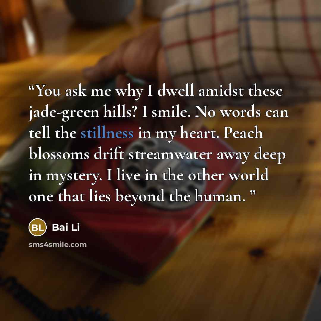 “You ask me why I dwell amidst these jade-green hills? I smile. No words can tell the stillness in my heart. Peach blossoms drift streamwater away deep in mystery. I live in the other world one that lies beyond the human.” quote by Bai Li