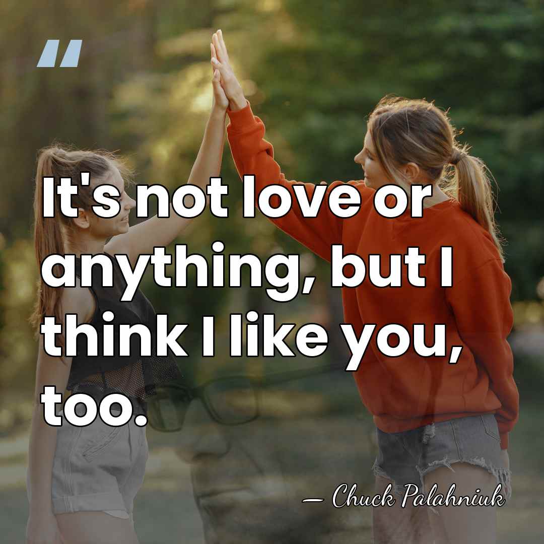 It's not love or anything, but I think I like you, too. - Chuck Palahniuk