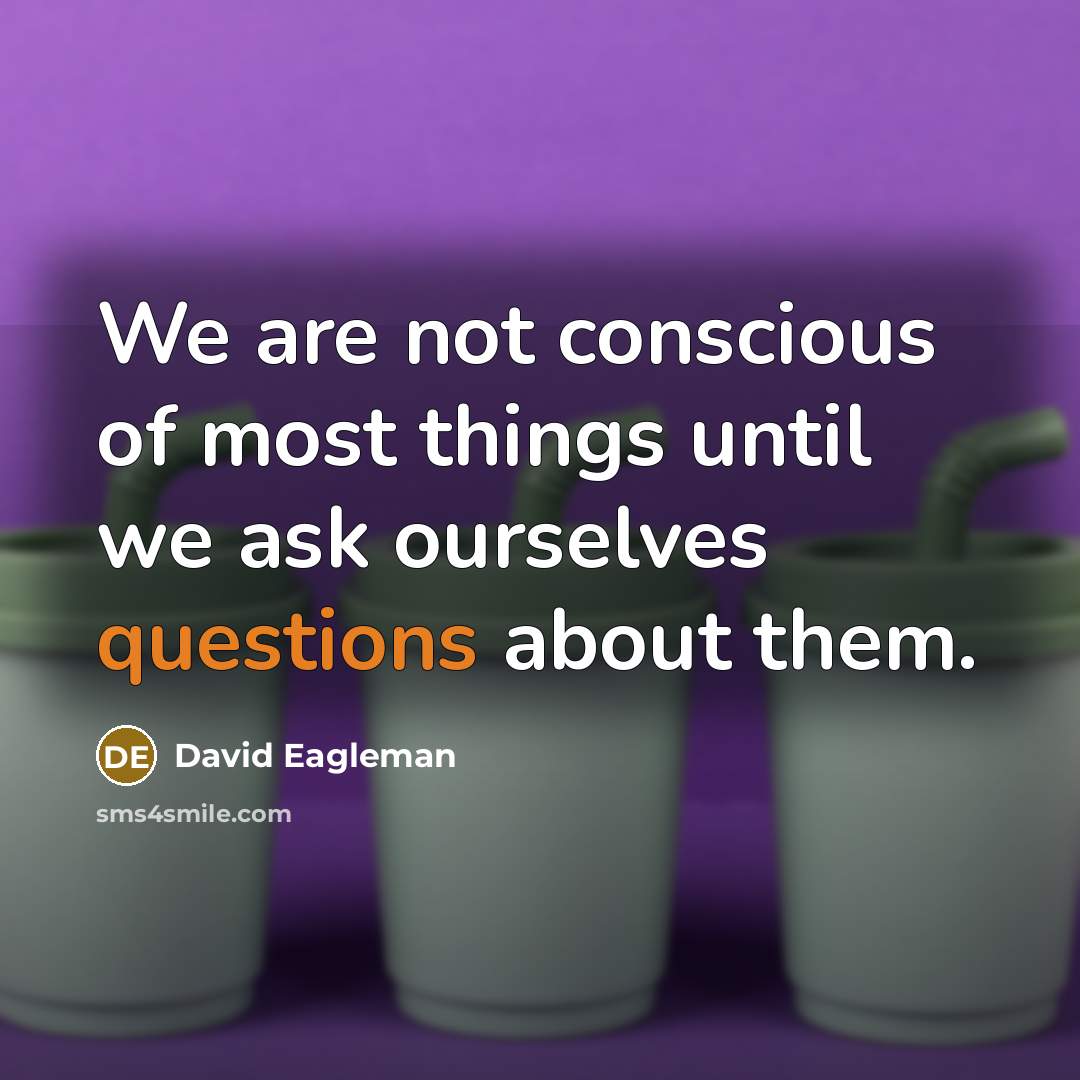 “We are not conscious of most things until we ask ourselves questions about them.” quote by David Eagleman