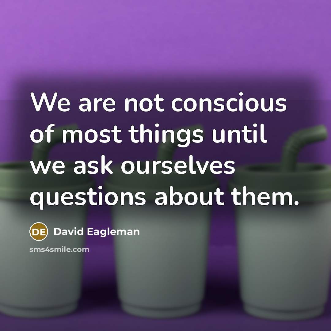 “We are not conscious of most things until we ask…” quote by David Eagleman