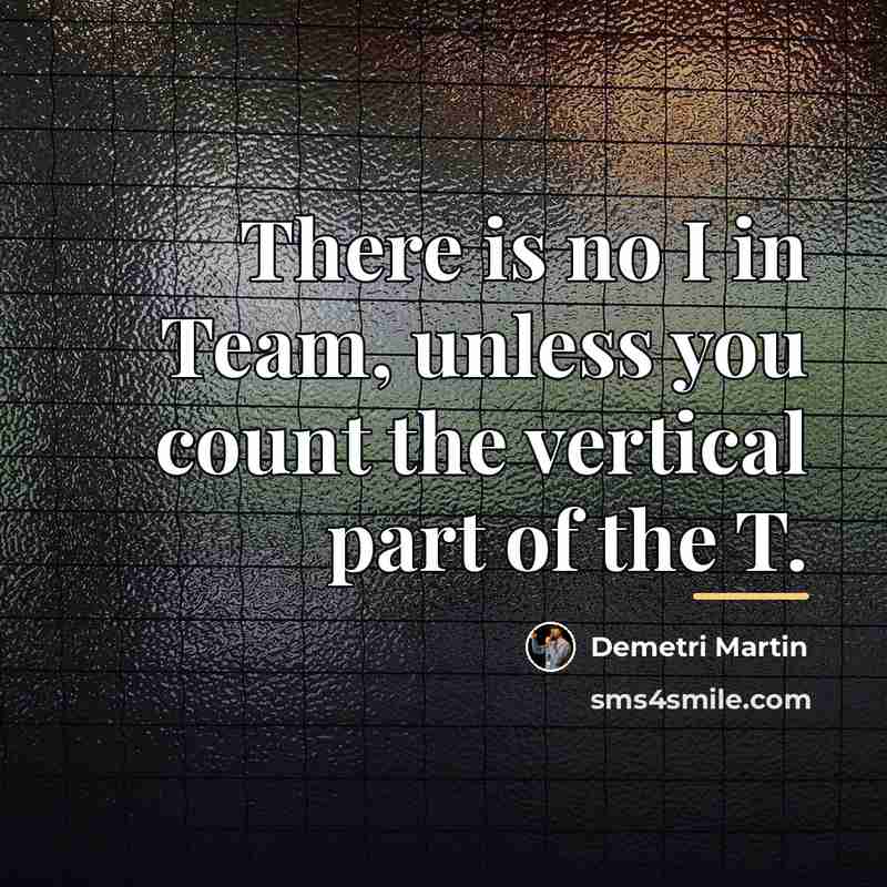 “There is no I in Team, unless you count the…” quote by Demetri Martin