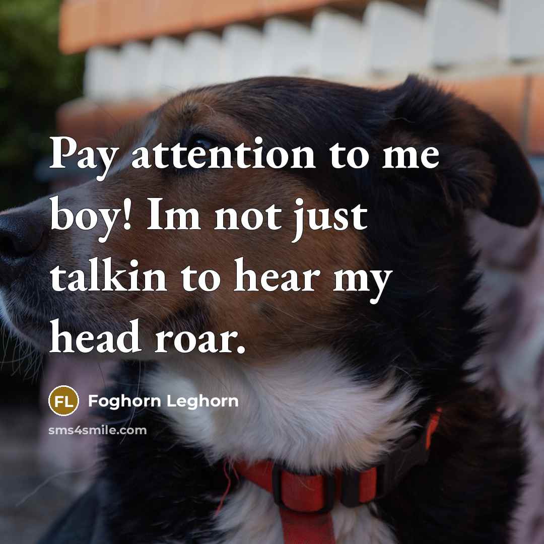 “Pay attention to me boy! Im not just talkin to…” quote by Foghorn Leghorn