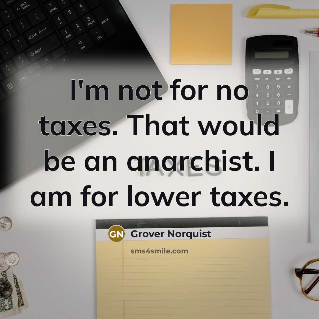 “I'm not for no taxes. That would be an anarchist.…” quote by Grover Norquist