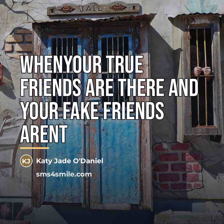 “Whenyour true friends are there and your fake friends arent…” quote by Katy Jade O'Daniel