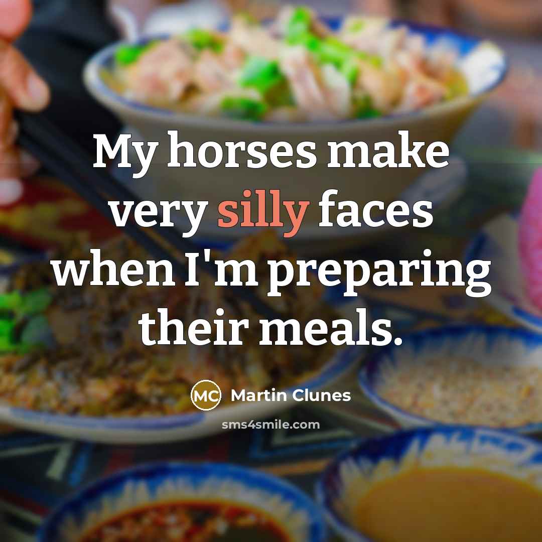 “My horses make very silly faces when I'm preparing their…” quote by Martin Clunes