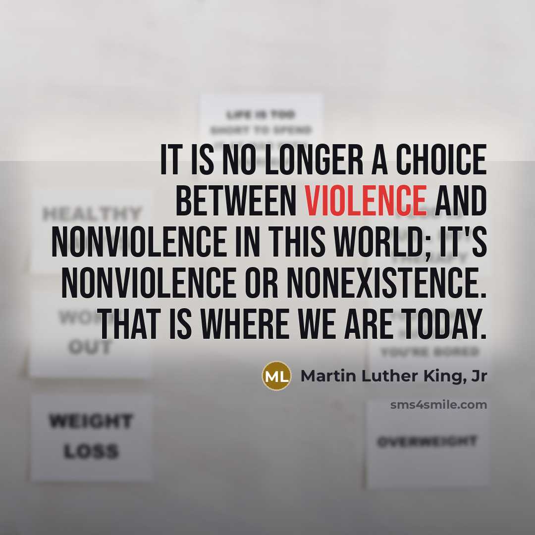“It is no longer a choice between violence and nonviolence…” quote by Martin Luther King, Jr