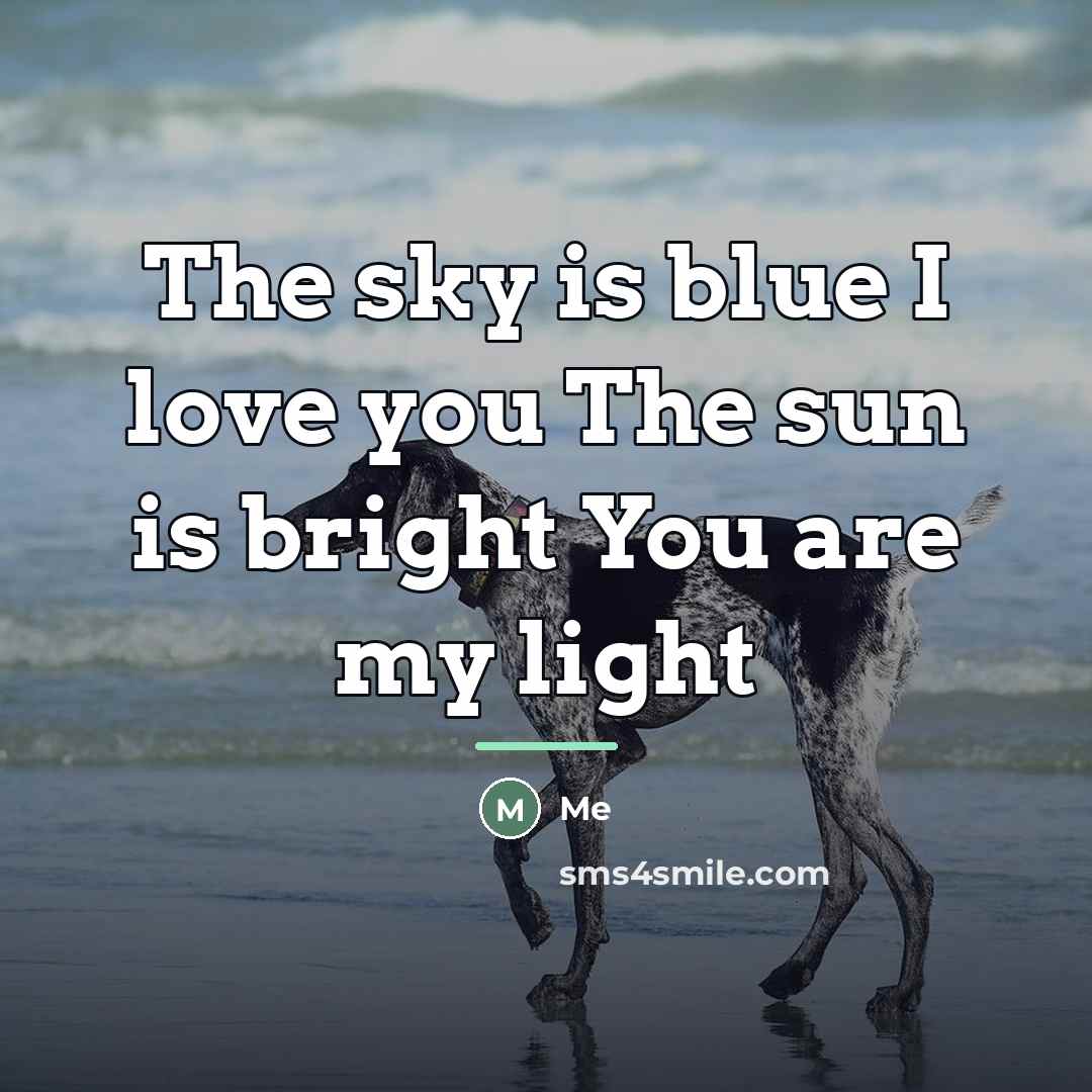 “The sky is blue I love you The sun is…” quote by Me