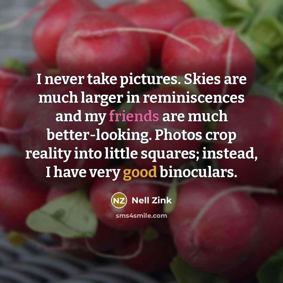 “I never take pictures. Skies are much larger in reminiscences…” quote by Nell Zink