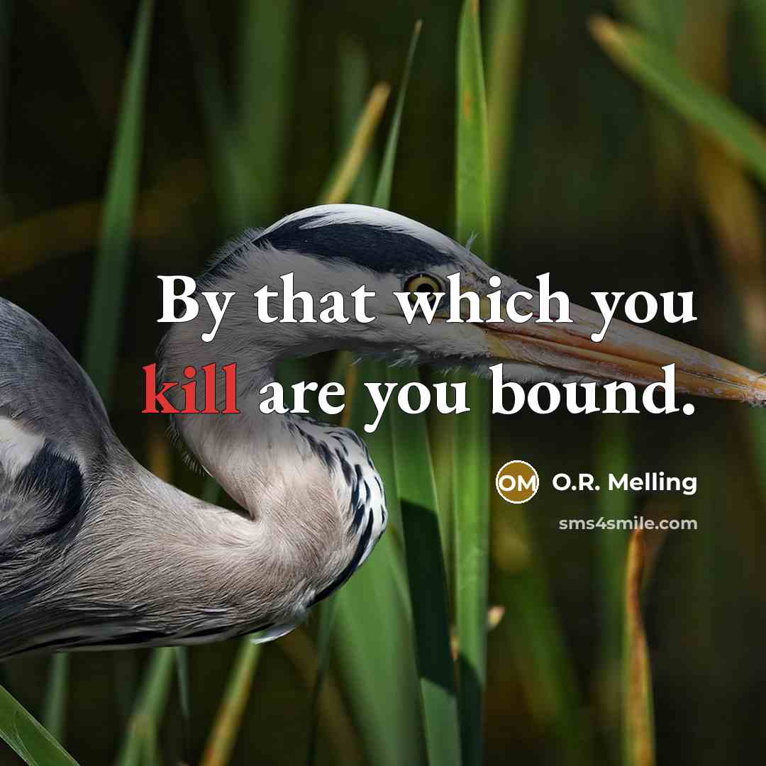 “By that which you kill are you bound.” quote by O.R. Melling