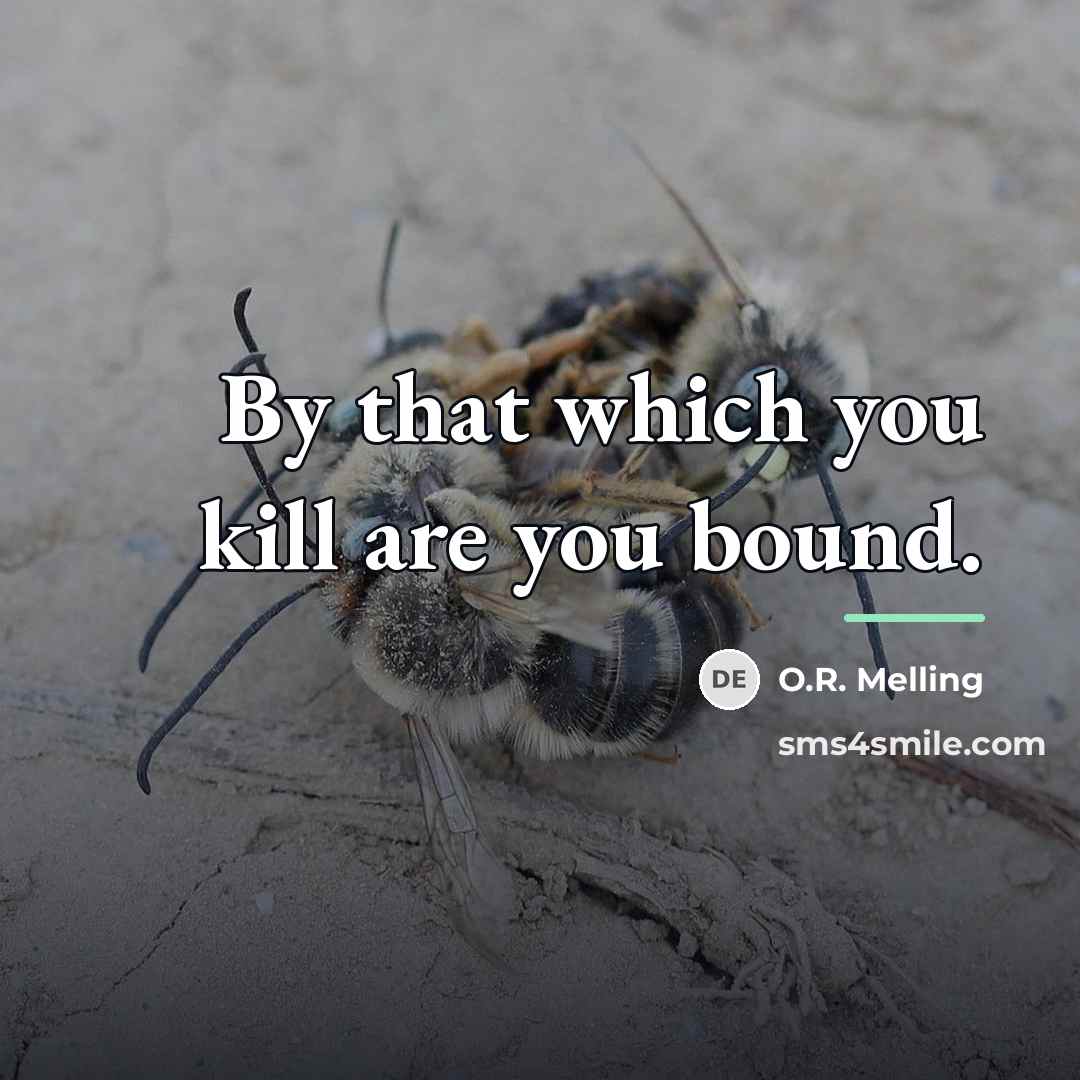 “By that which you kill are you bound.…” quote by O.R. Melling