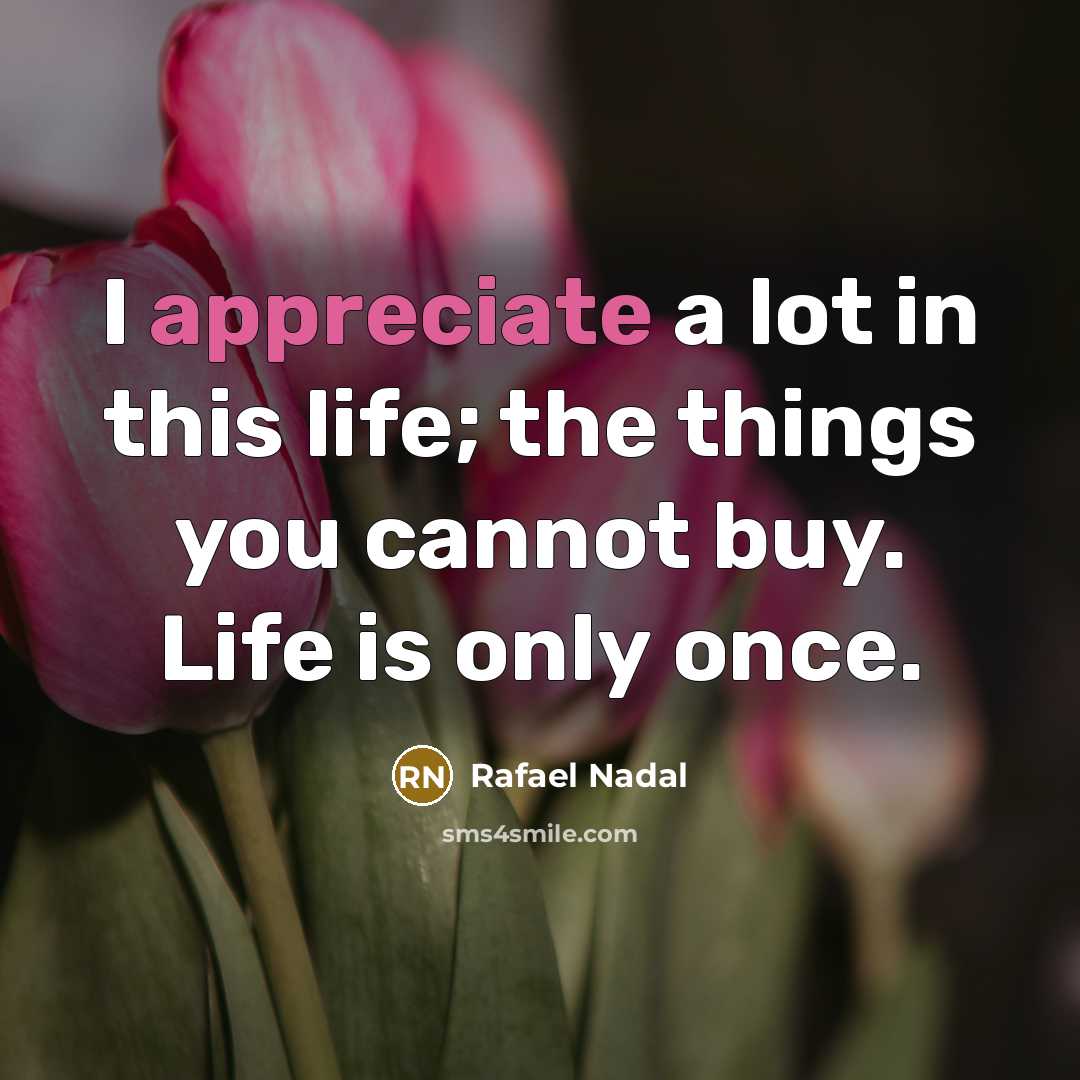 “I appreciate a lot in this life; the things you…” quote by Rafael Nadal