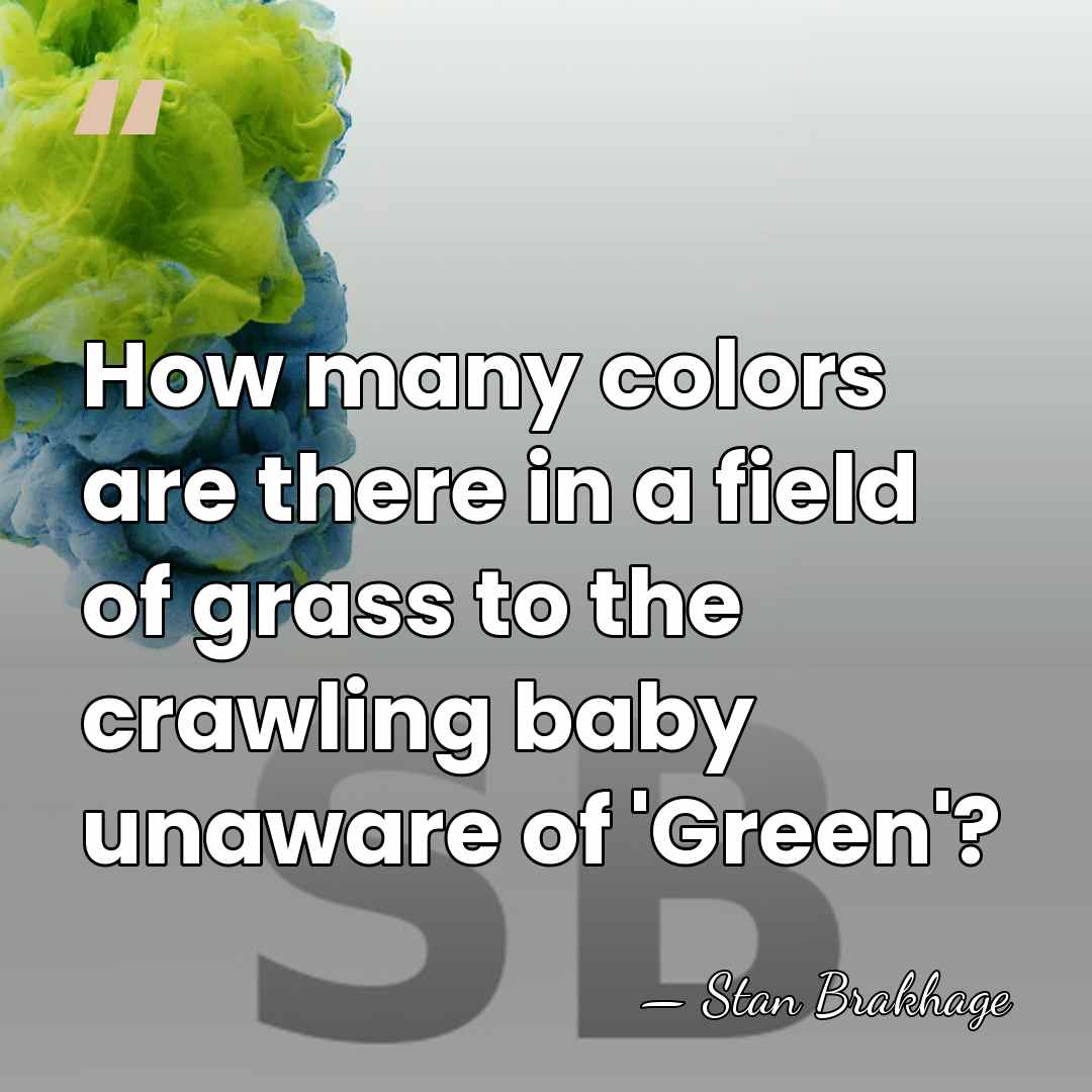 How many colors are there in a field of grass to the&hellip; - Stan Brakhage