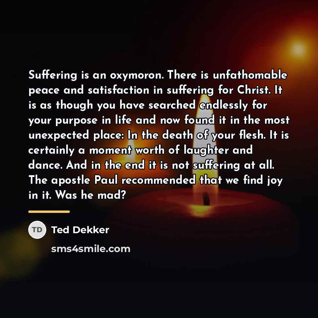 “Suffering is an oxymoron. There is unfathomable peace and satisfaction…” quote by Ted Dekker