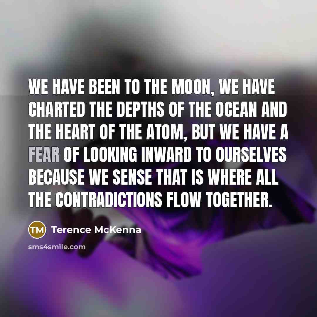 “We have been to the moon, we have charted the…” quote by Terence McKenna