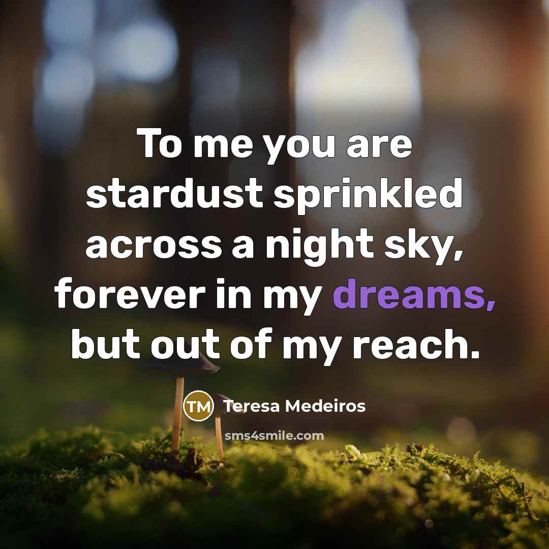 “To me you are stardust sprinkled across a night sky,…” quote by Teresa Medeiros