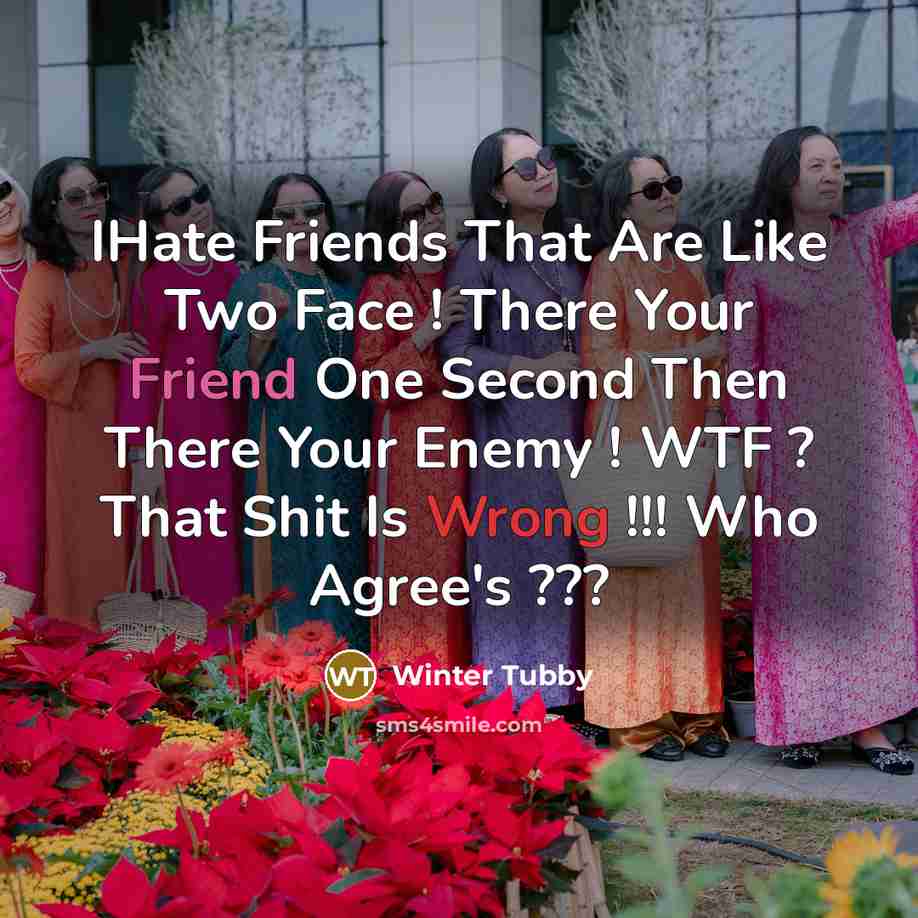 “IHate Friends That Are Like Two Face ! There Your Friend One Second Then There Your Enemy ! WTF ? That Shit Is Wrong !!! Who Agree's ???” quote by Winter Tubby