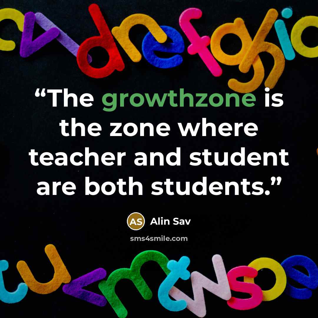 “The growthzone is the zone where teacher and student are both students.” quote by Alin Sav
