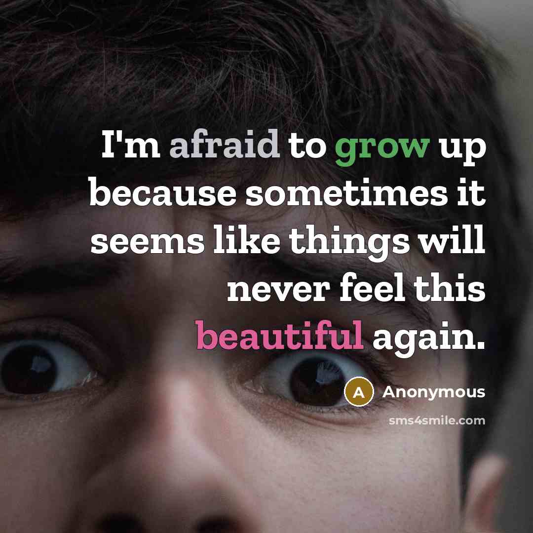 “I'm afraid to grow up because sometimes it seems like things will never feel this beautiful again.” quote by Anonymous