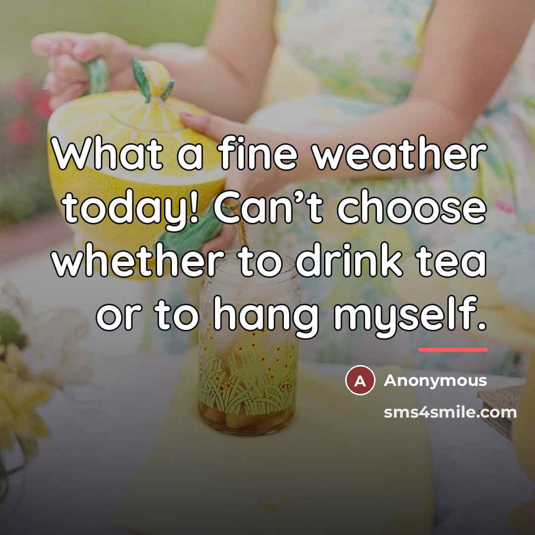 “What a fine weather today! Can’t choose whether to drink…” quote by Anonymous