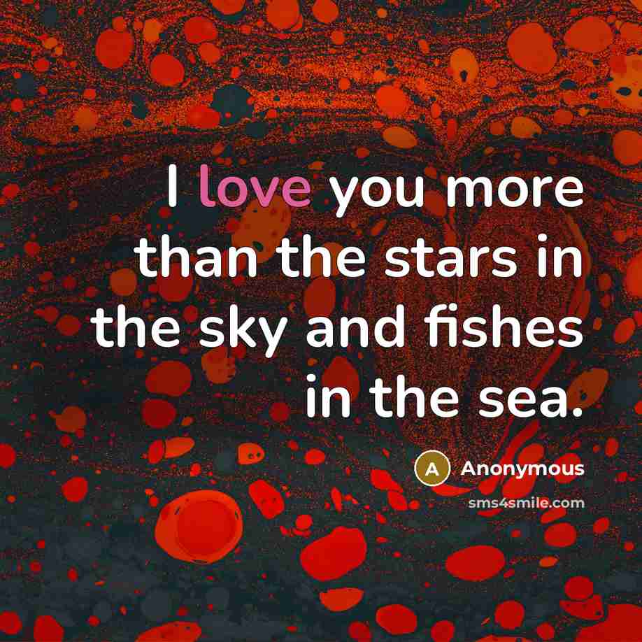 “I love you more than the stars in the sky…” quote by Anonymous