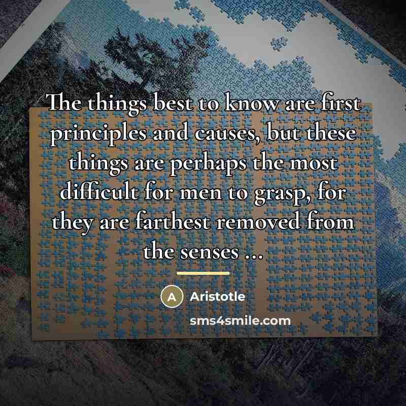 “The things best to know are first principles and causes,…” quote by Aristotle