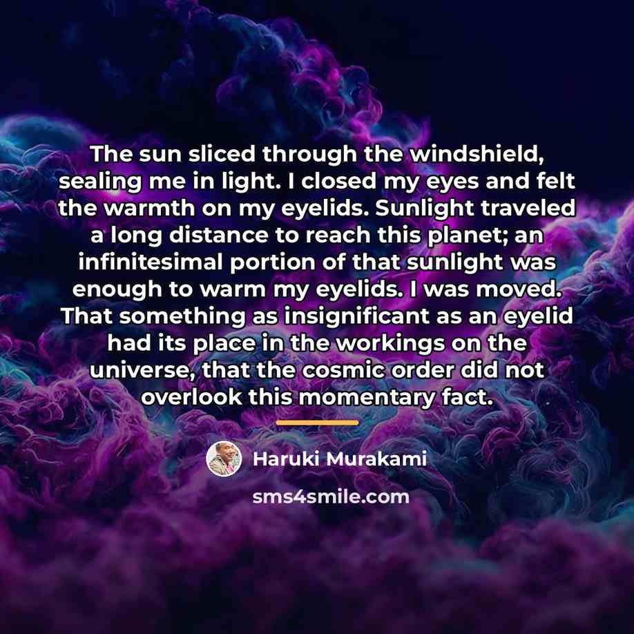 “The sun sliced through the windshield, sealing me in light.…” quote by Haruki Murakami