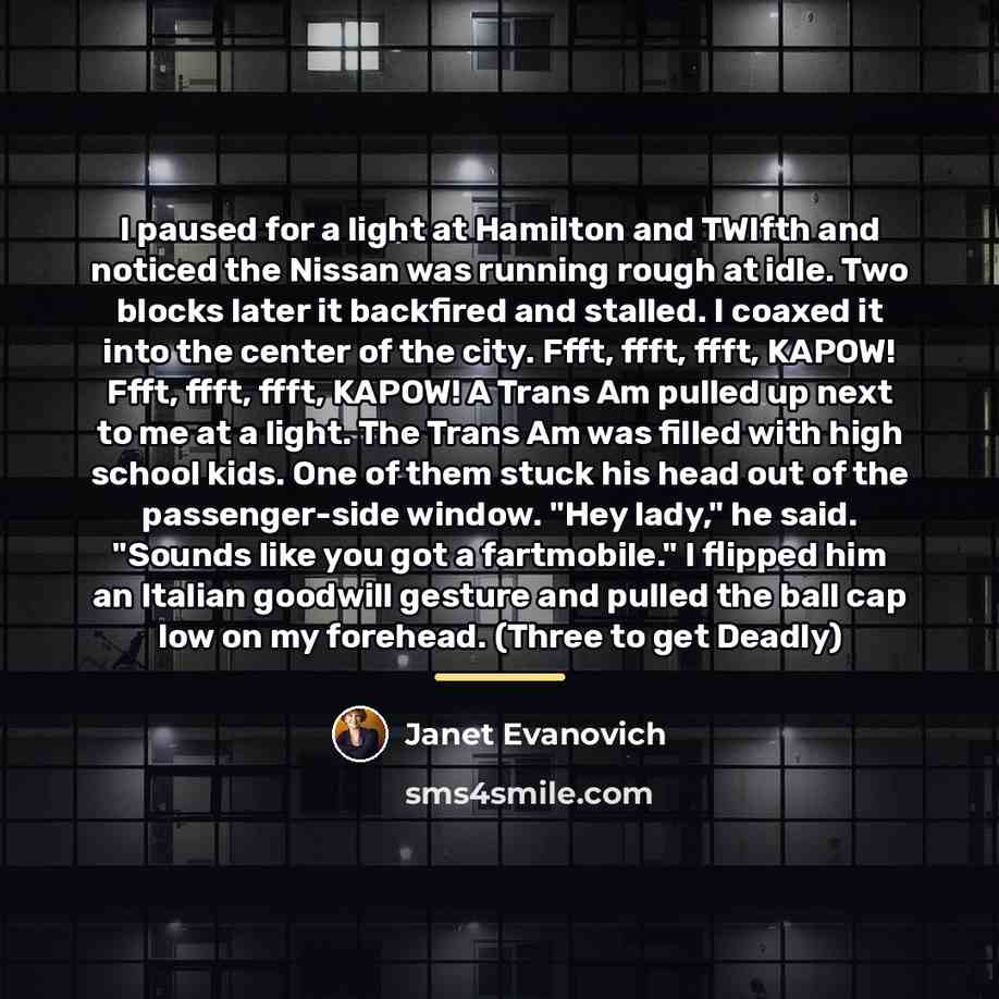 “I paused for a light at Hamilton and TWlfth and…” quote by Janet Evanovich