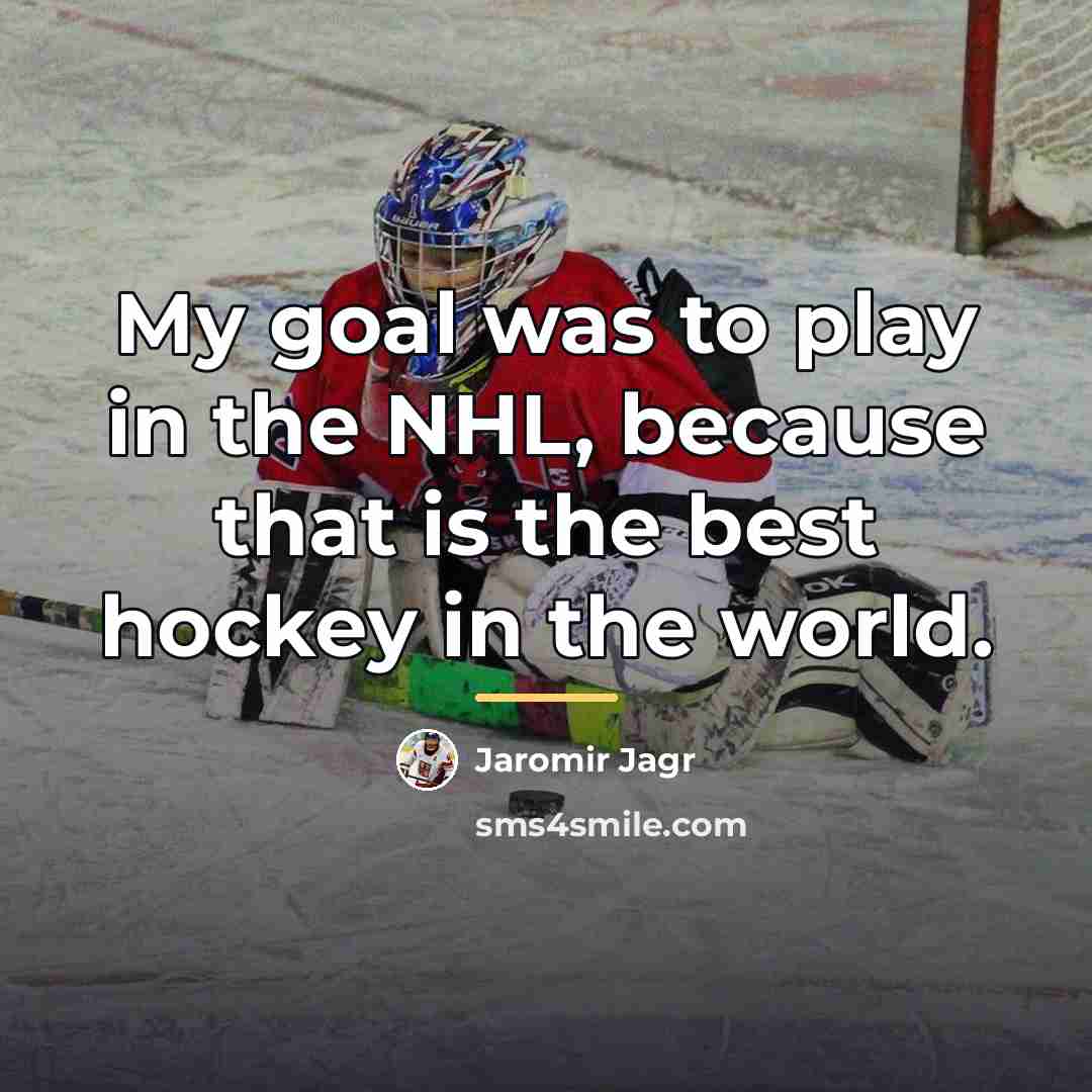 “My goal was to play in the NHL, because that…” quote by Jaromir Jagr