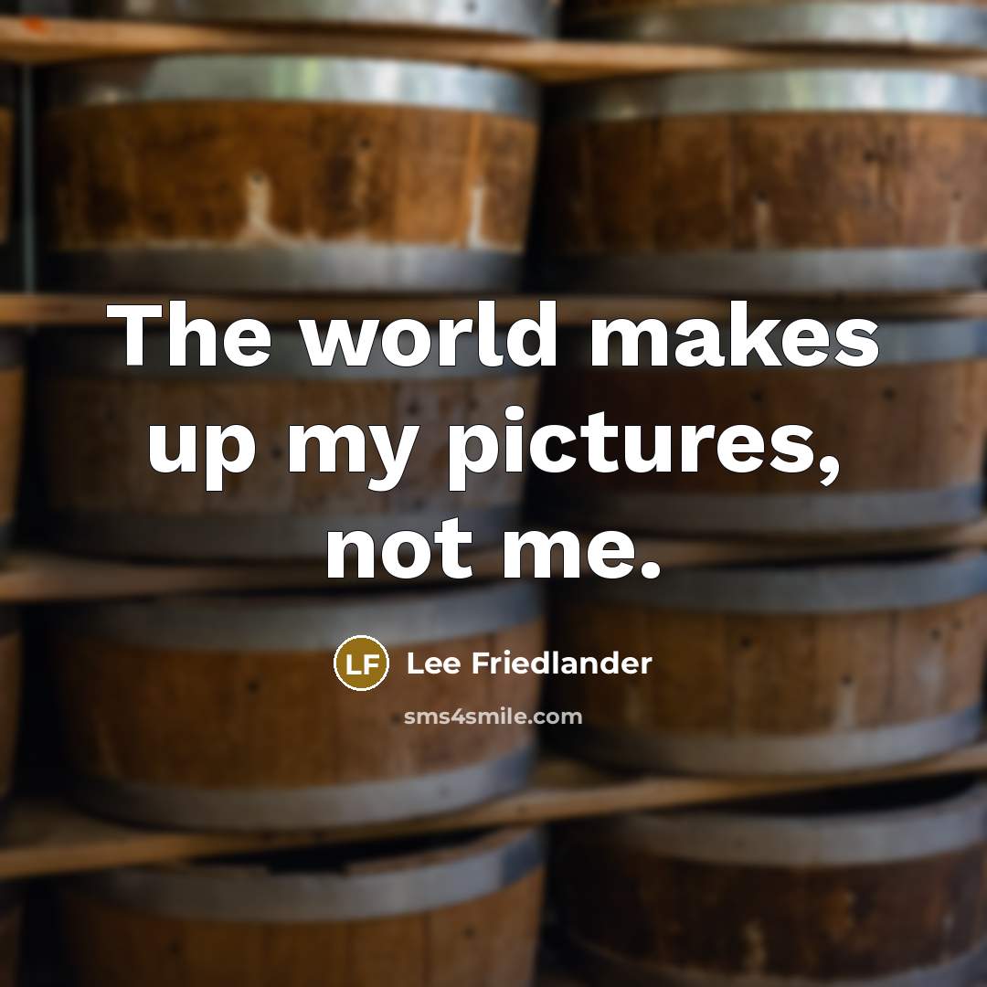 “The world makes up my pictures, not me.” quote by Lee Friedlander