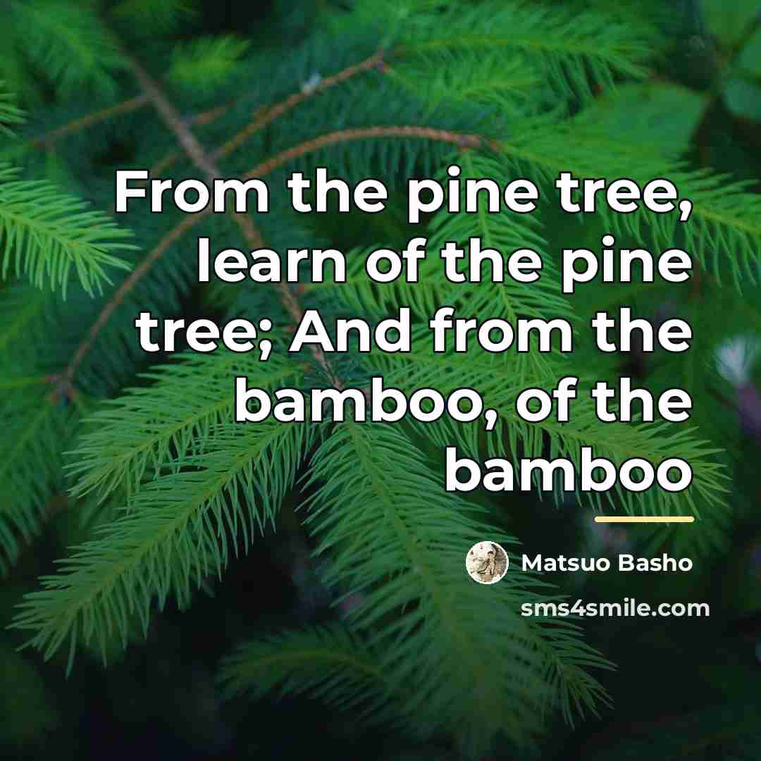 “From the pine tree, learn of the pine tree; And…” quote by Matsuo Basho