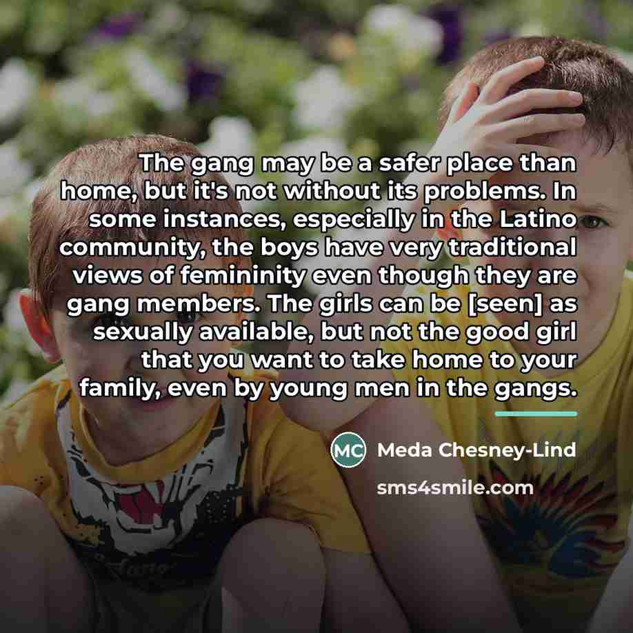 “The gang may be a safer place than home, but…” quote by Meda Chesney-Lind